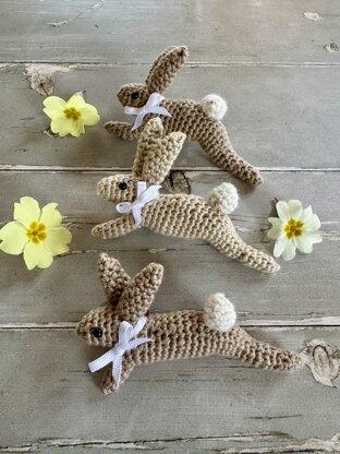 Leaping Spring Hare