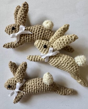 Leaping Spring Hare