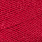 Cardinal (031)