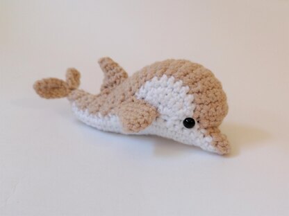 Dolphin
